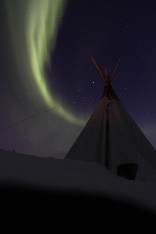 Lofoten Camp Стамсунн Экстерьер фото